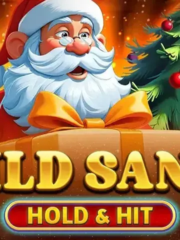 Wild Santa - Hold & Hit